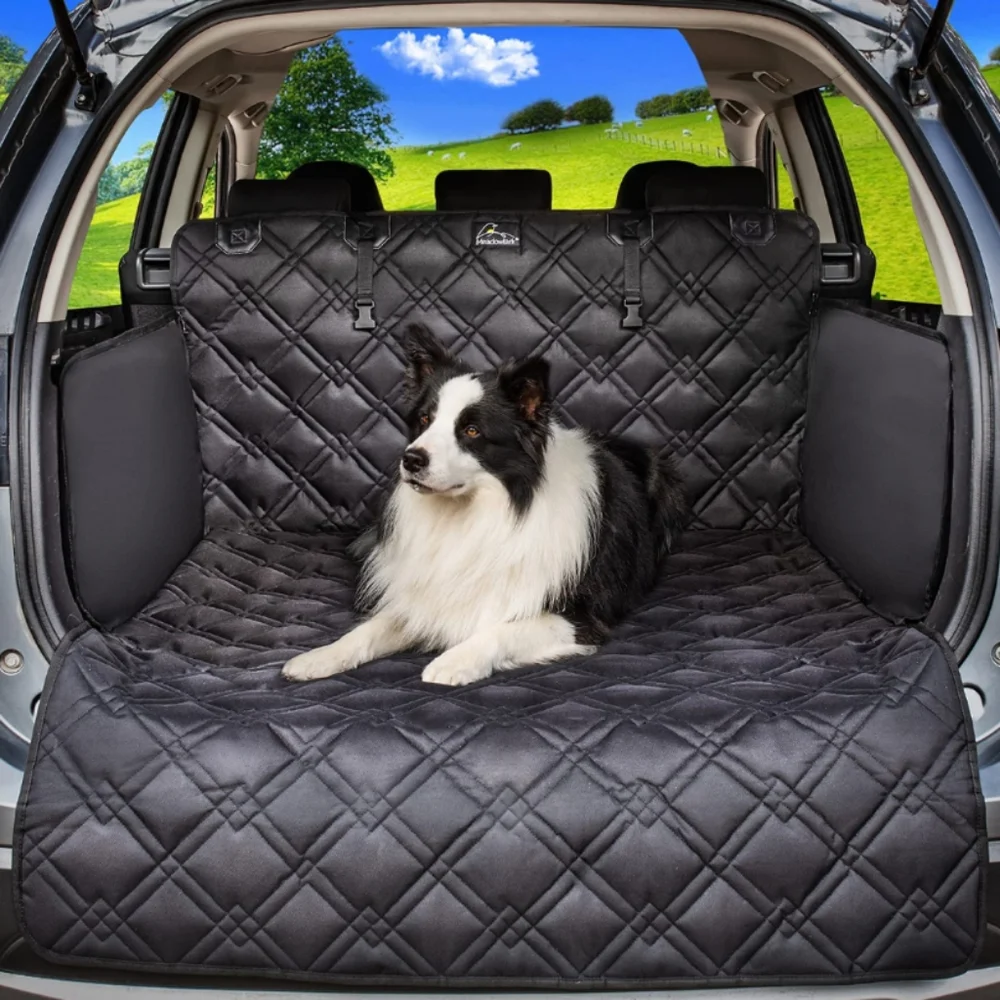 New Cargo Liner